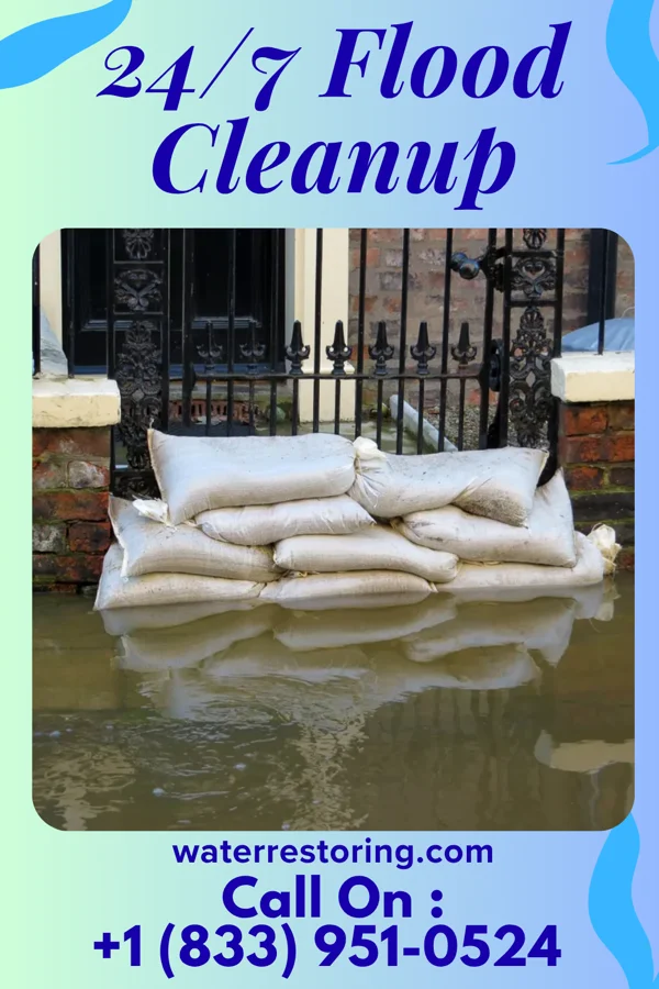 24/7 Flood Cleanup in The University of Virginia's College at Wise, VA
