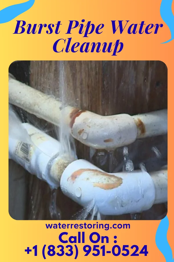 Burst Pipe Water Cleanup in The University of Virginia's College at Wise, VA