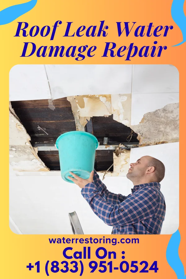 Roof Leak Water Damage Repair in The University of Virginia's College at Wise, VA