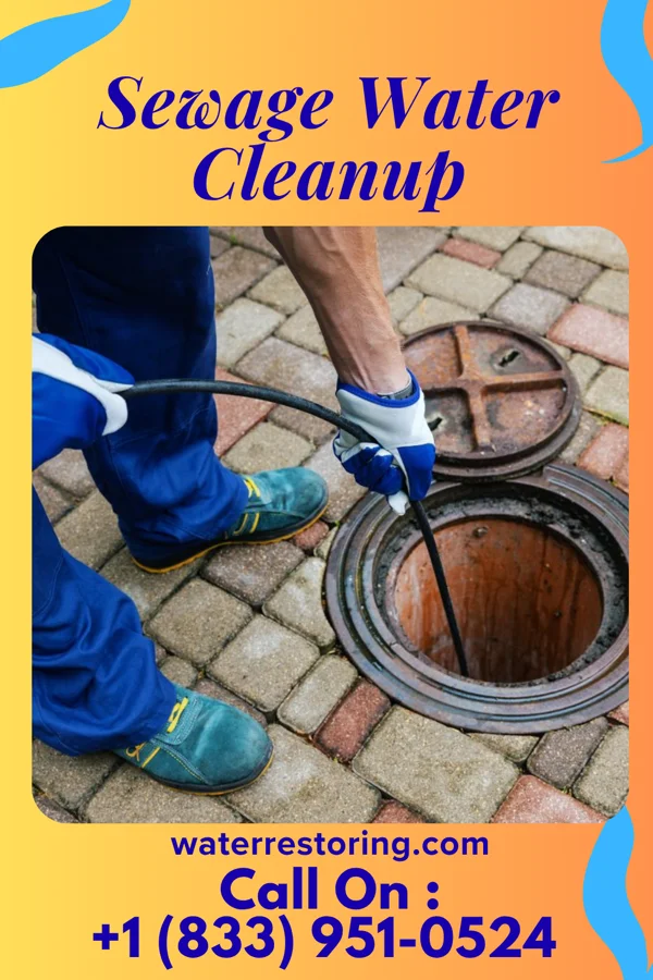Sewage Water Cleanup in The University of Virginia's College at Wise, VA