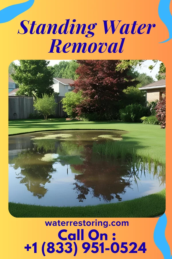 Standing Water Removal in The University of Virginia's College at Wise, VA
